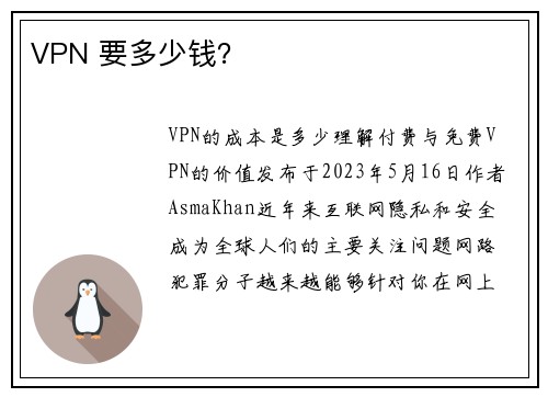 VPN 要多少钱？