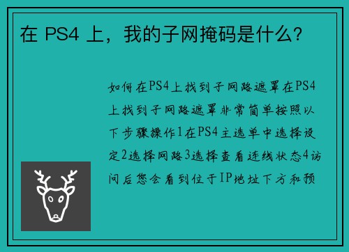 在 PS4 上，我的子网掩码是什么？